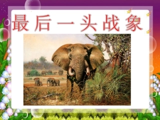 人教版小学语文六年级上册《最后一头战象》PPT课件