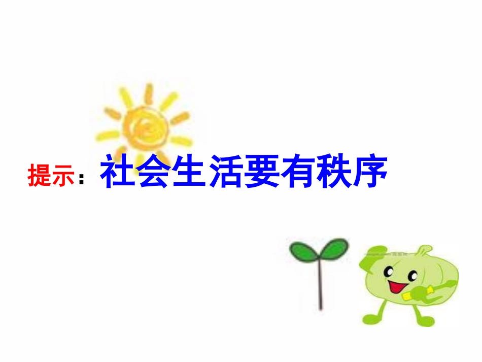 维护秩序-(6)_第3页