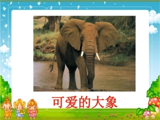 《称象》课件1
