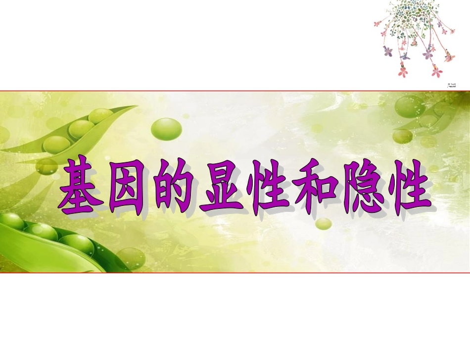 第三节基因的显性和隐性-(3)_第1页
