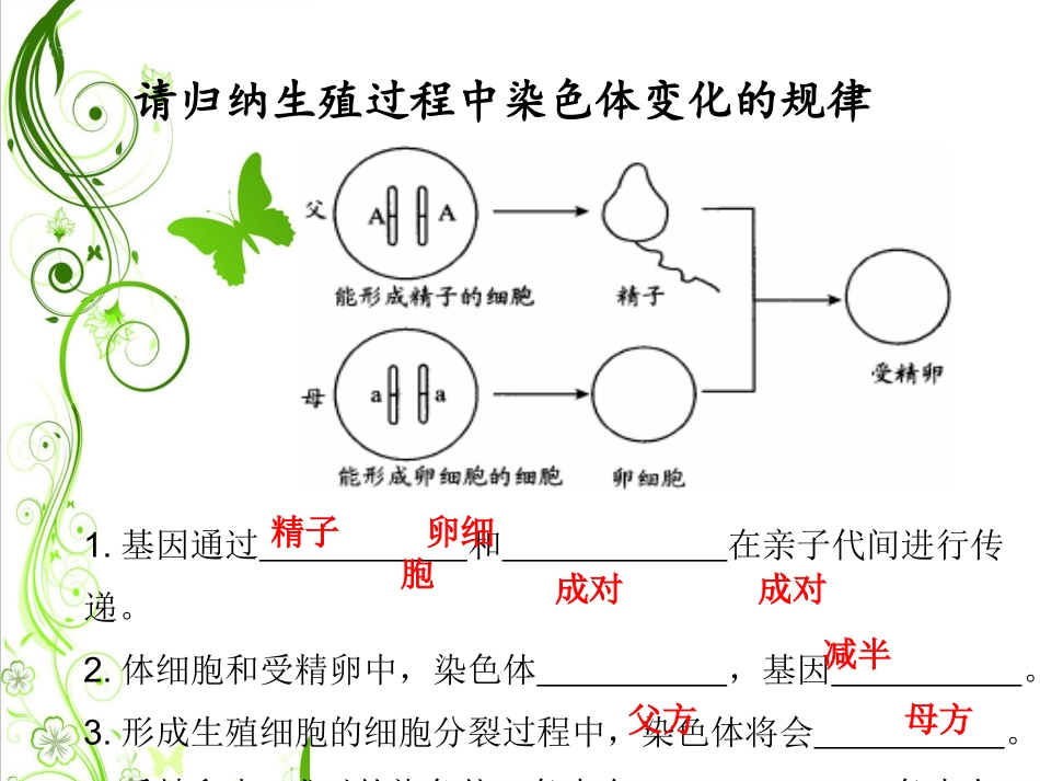 第三节基因的显性和隐性-(3)_第2页