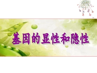 第三节基因的显性和隐性-(3)