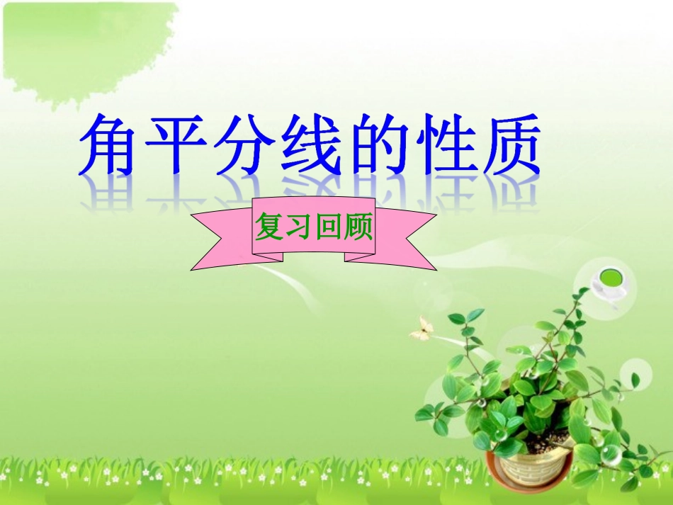 角平分线的复习课_第1页