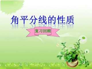 角平分线的复习课