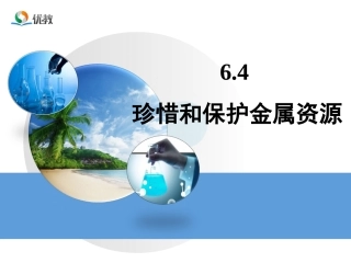 6.4珍惜和保护金属资源-(2)