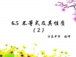 6.5不等式及其性质