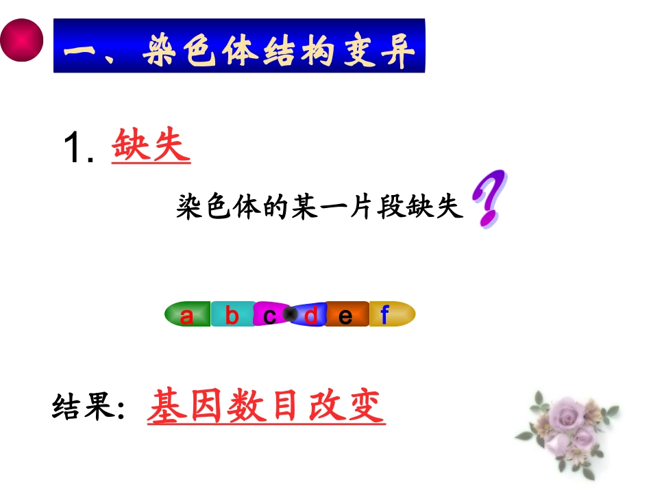 一染色体结构变异_第3页