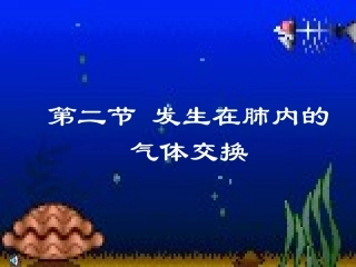 发生在肺里的气体交换
