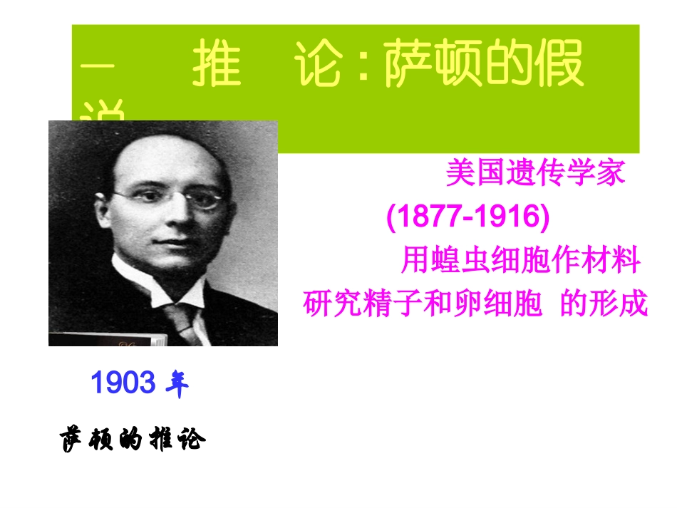 一果蝇的伴性遗传_第3页