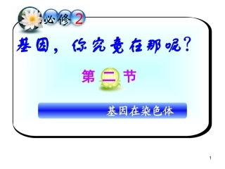 一果蝇的伴性遗传
