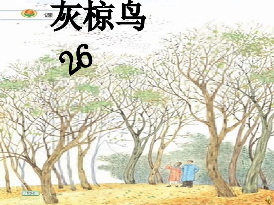 灰椋鸟课件1_第1页