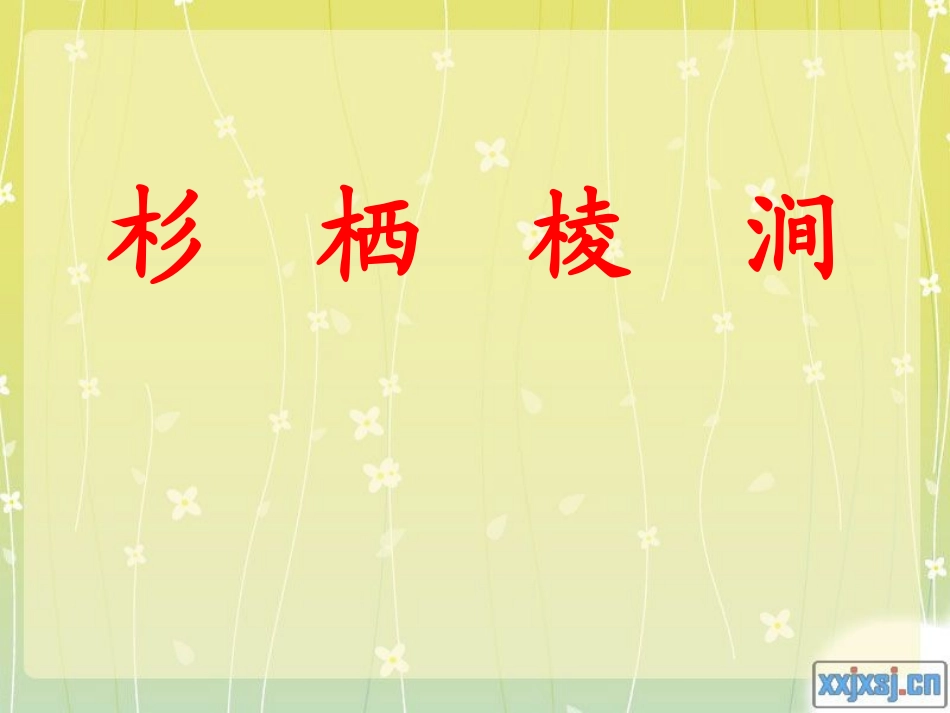 灰椋鸟课件1_第3页