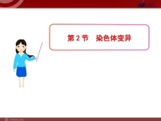 染色体结构的变异