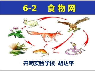 第2节食物网
