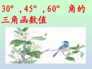 230°-45°-60°角的三角函数值