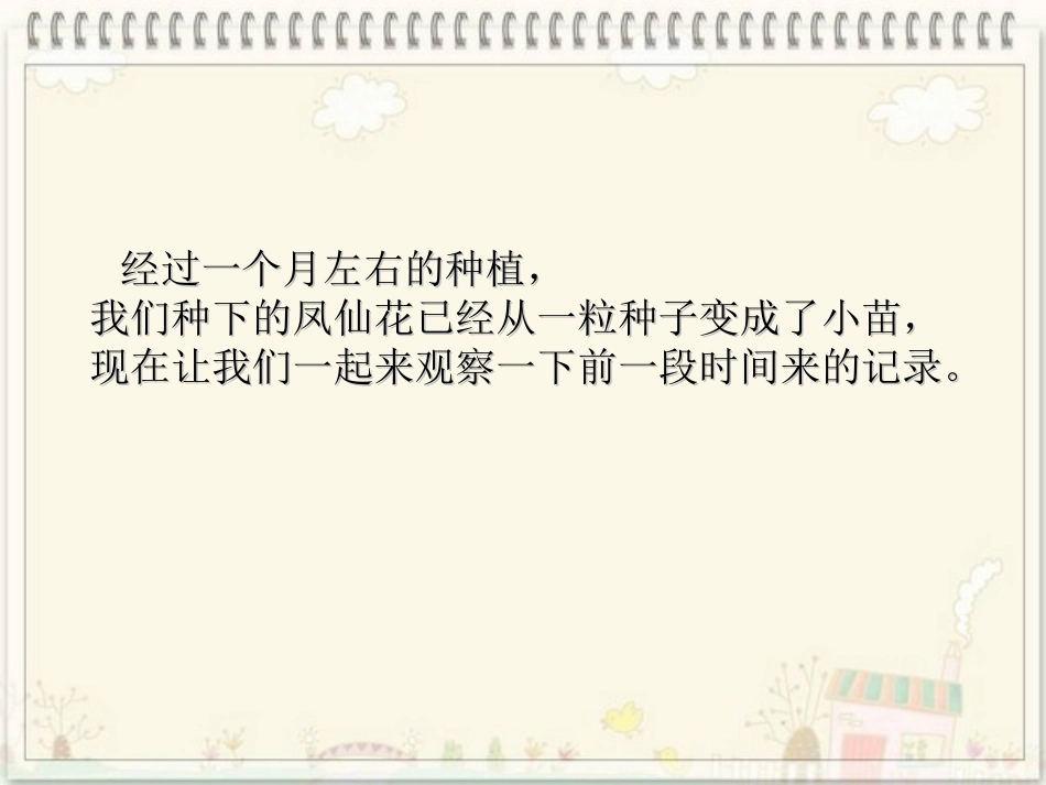 种子变成了幼苗_第2页