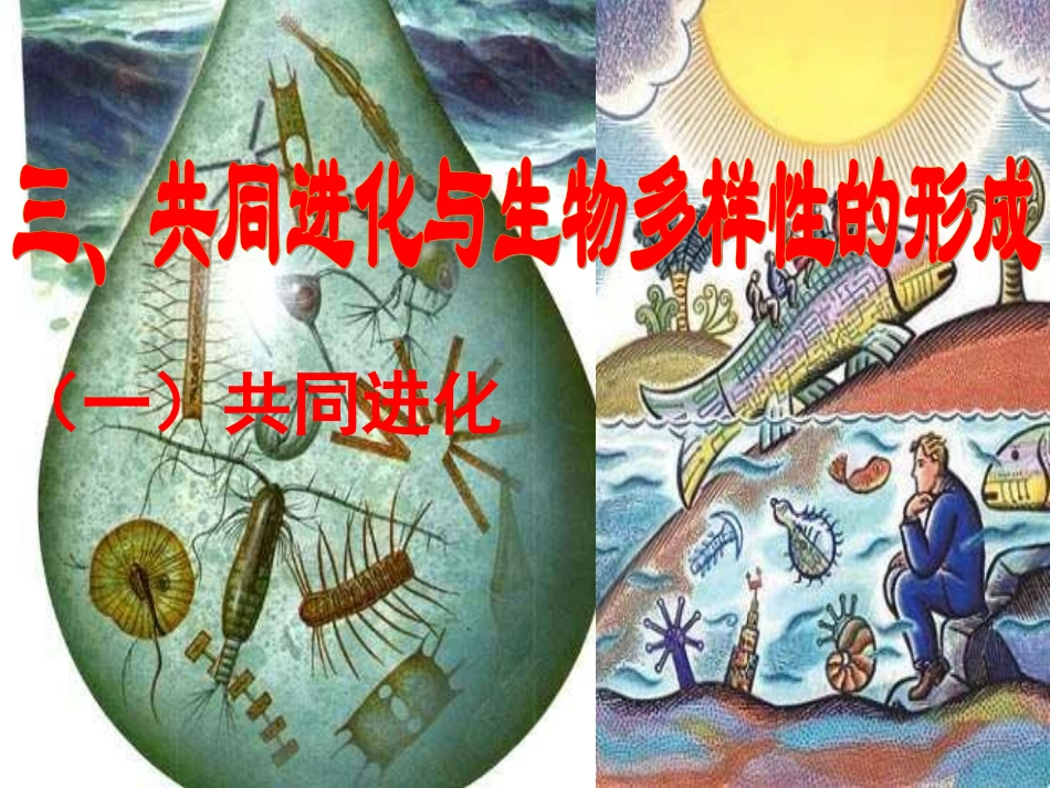 三-共同进化与生物多样性的形成-(5)_第1页
