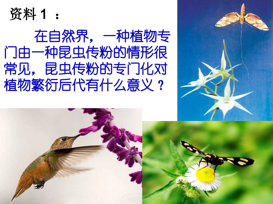 三-共同进化与生物多样性的形成-(5)_第3页