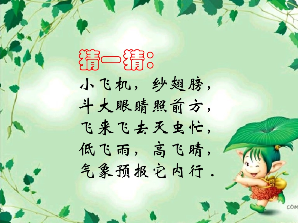 二年级美术课件小学美术蜻蜓飞飞课件_第1页