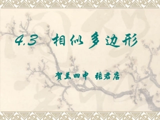 3相似多边形-(2)