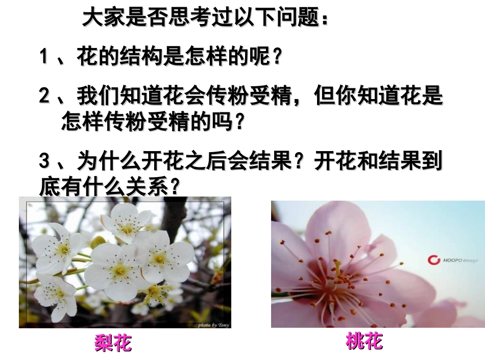 第三节开花和结果_第2页