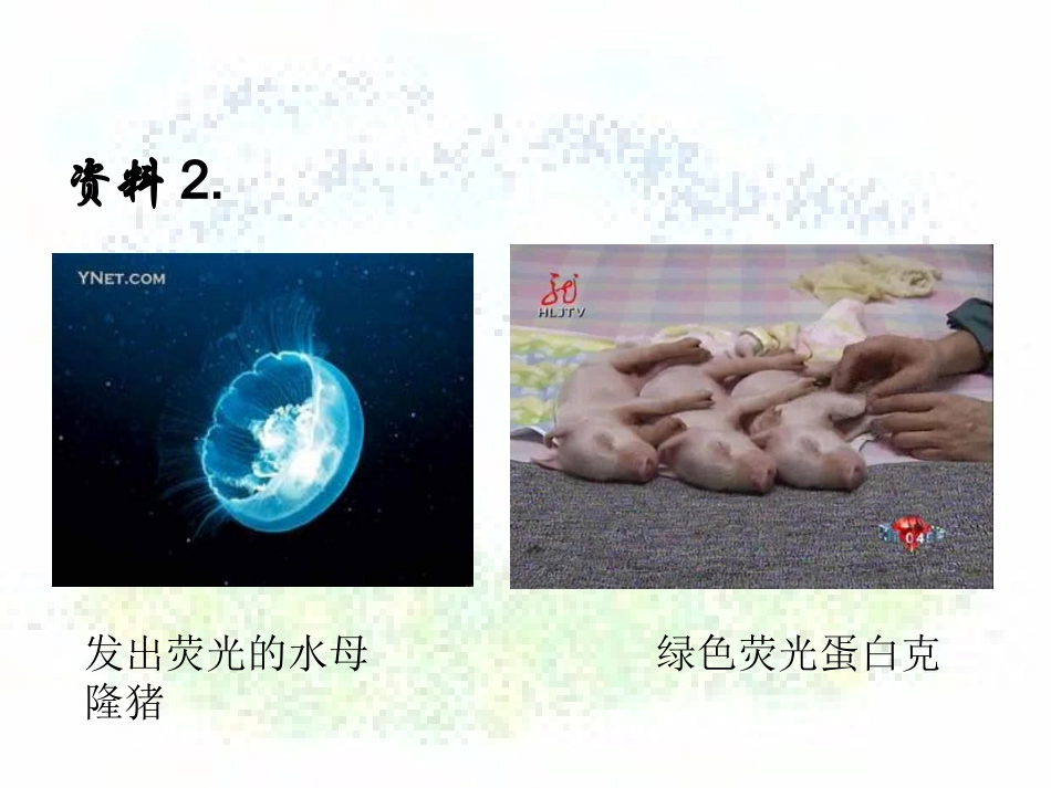 王朴中学樊勇课件制作_第3页