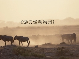 课件：游天然动物园1