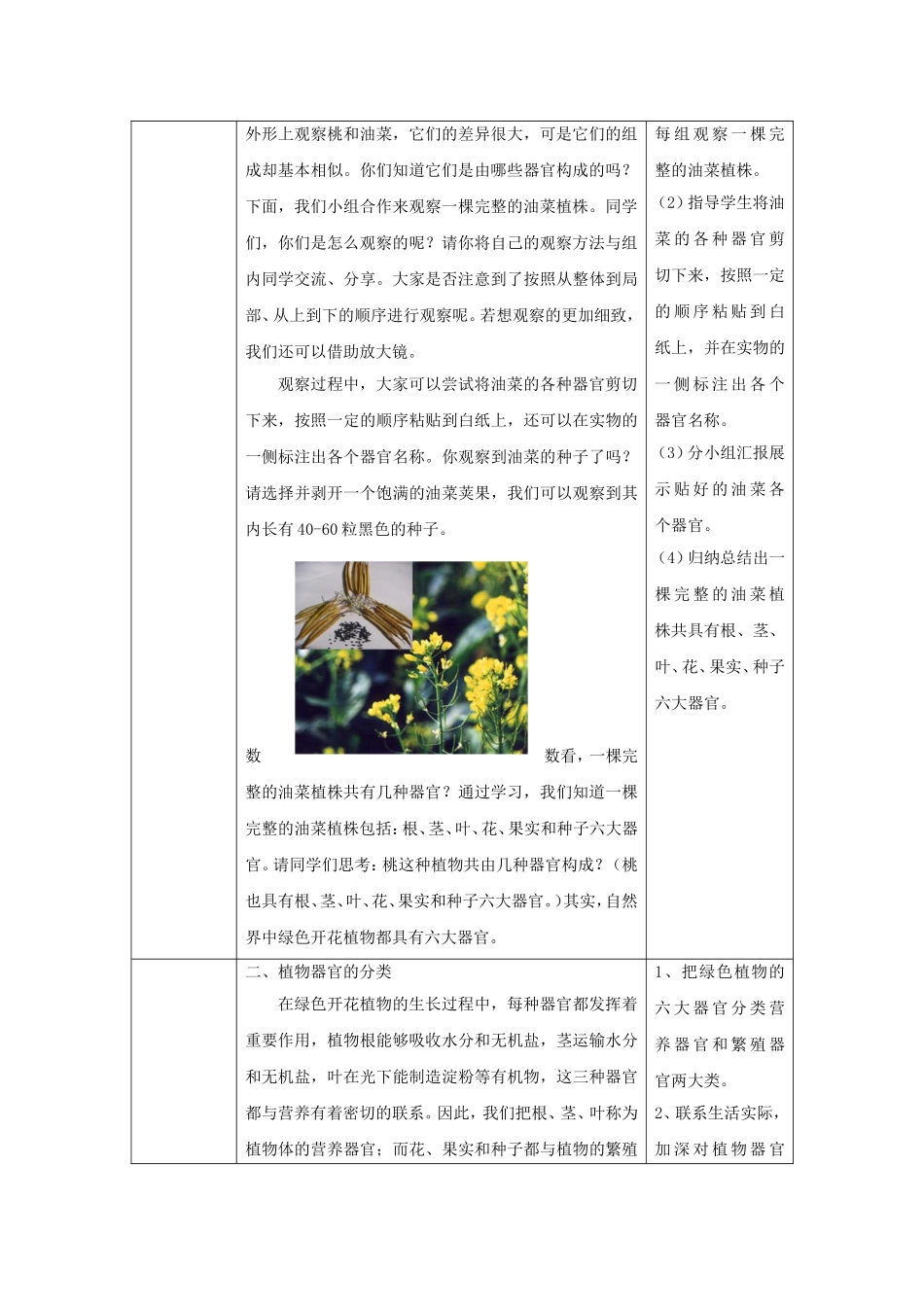 《第1节-植物体的组成》教案1_第2页