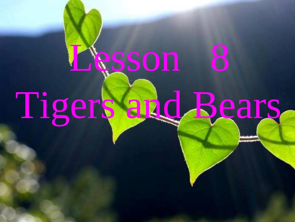 Lesson8TigersandBears_第1页