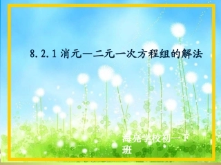 8.2.1用代入法解二元一次方程组