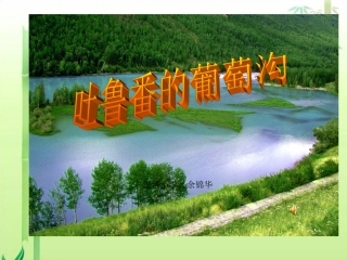 4吐鲁番的葡萄沟-(2)