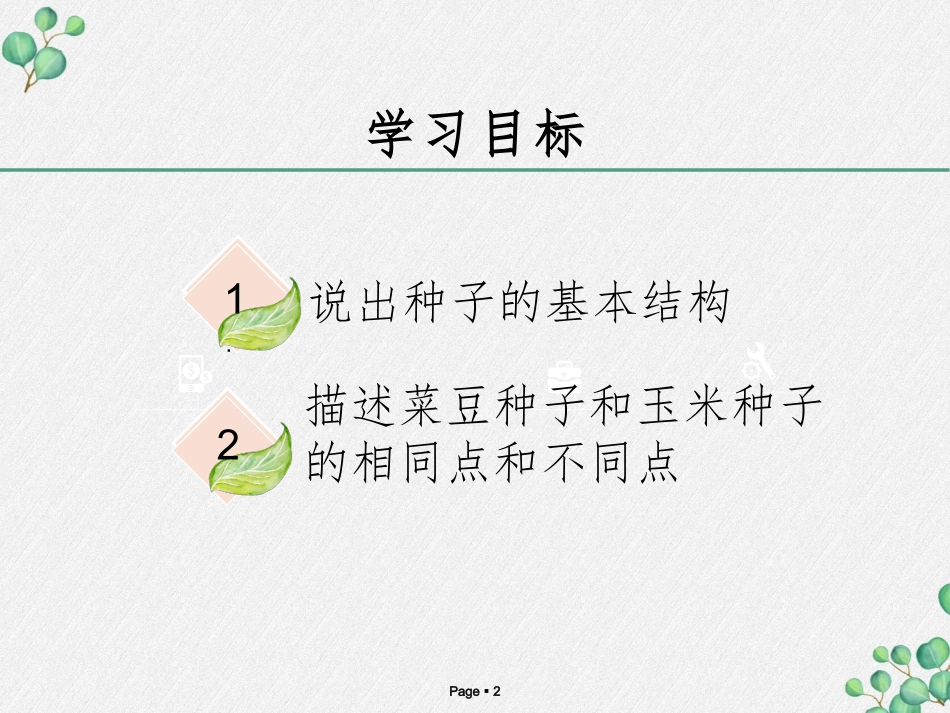 第三节种子植物_第2页