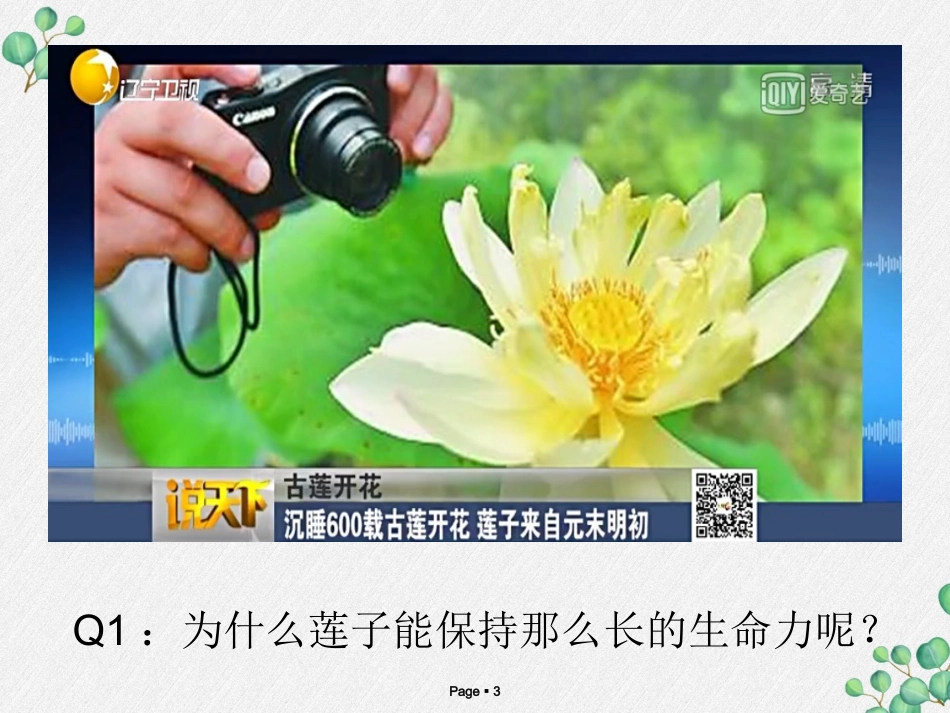 第三节种子植物_第3页