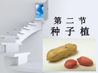 第三节种子植物