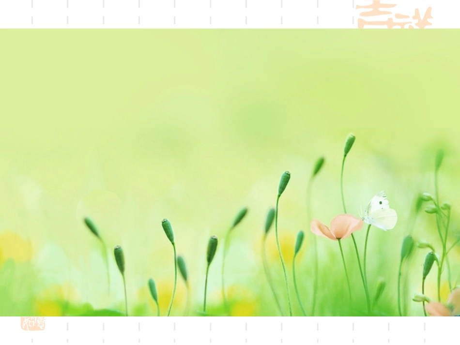 (苏教版)六年级数学下册课件-圆柱的表面积-1_第2页