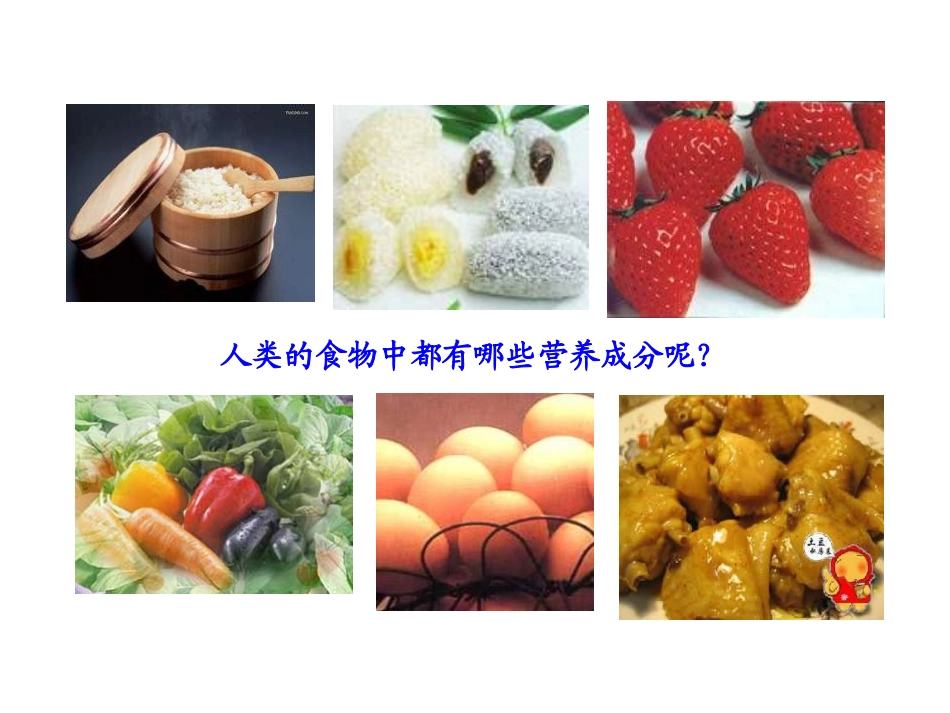 第1节人类的食物-(4)_第3页