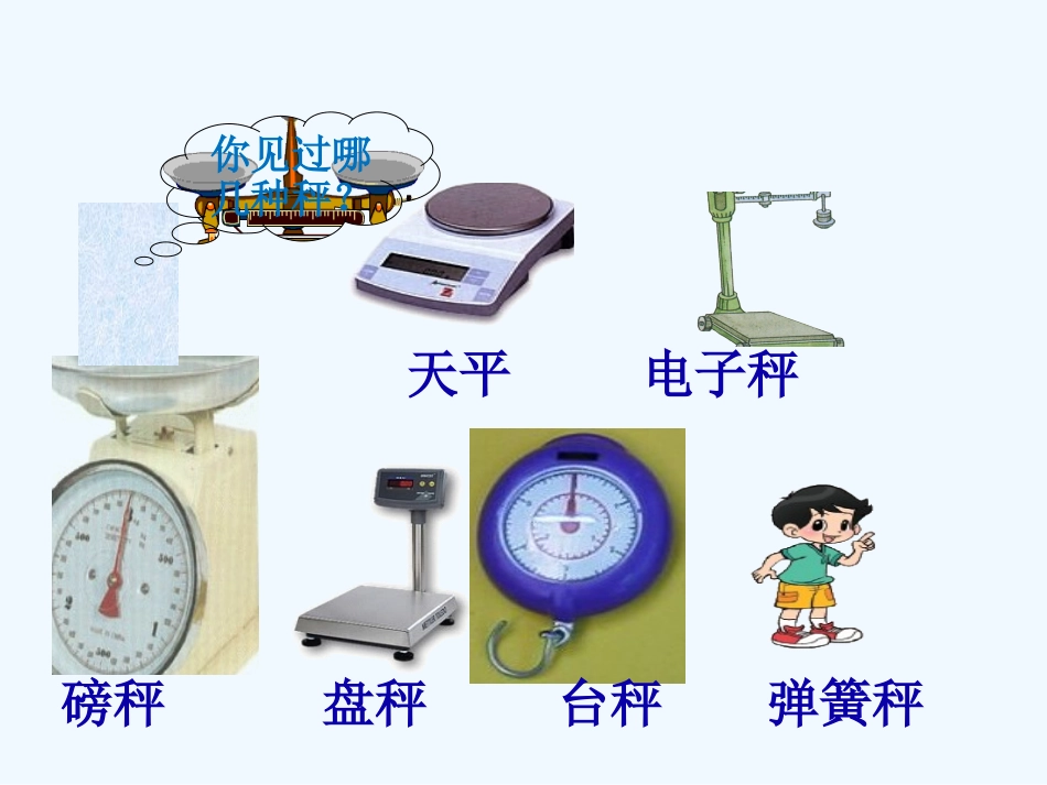 小学数学北师大2011课标版三年级三年级数学下册4.1《有多重》_第2页