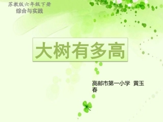 ●大树有多高