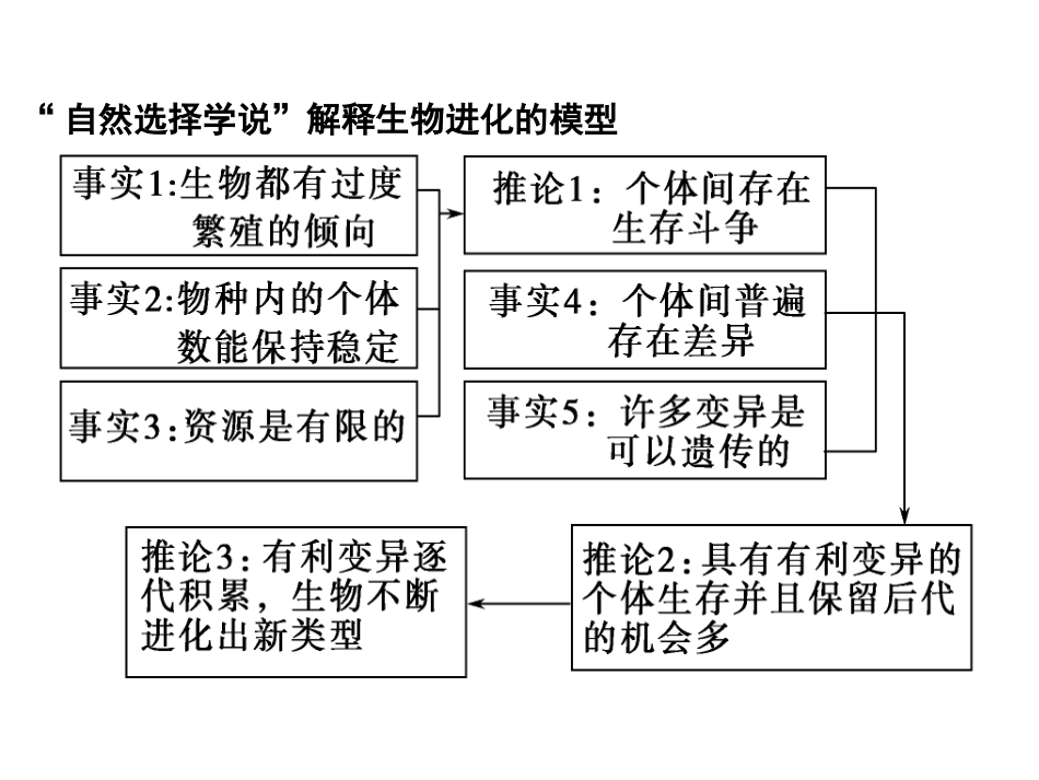 现代生物进化理论一轮复习上课用_第3页