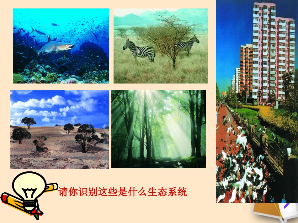 生态系统的自我调节_第2页