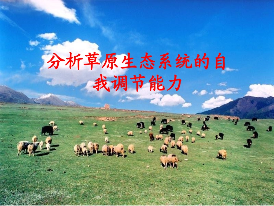 生态系统的自我调节_第3页