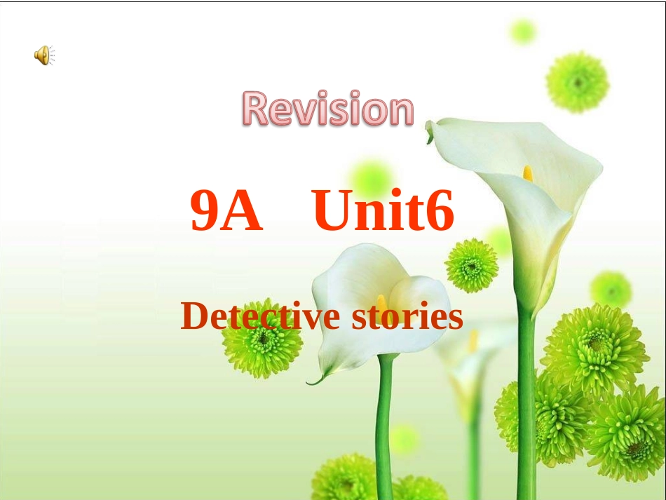 9AUnit6复习课件(1)_第1页