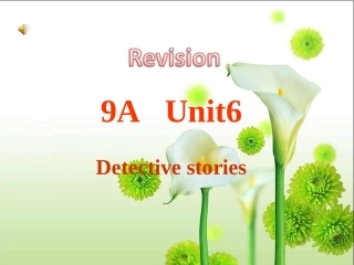 9AUnit6复习课件(1)