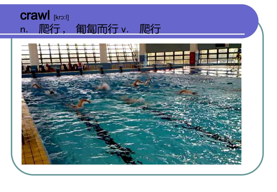 第十节游泳运动-(2)_第3页