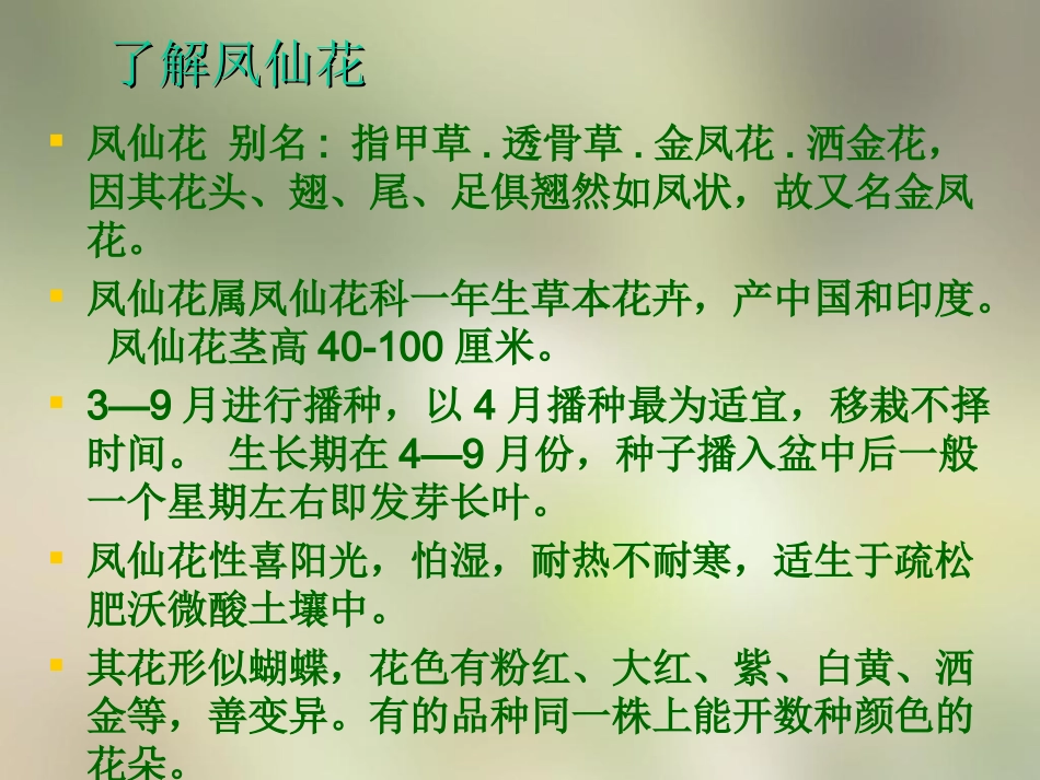 种植我们的植物-(2)_第2页