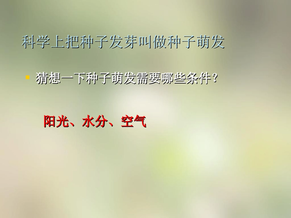 种植我们的植物-(2)_第3页