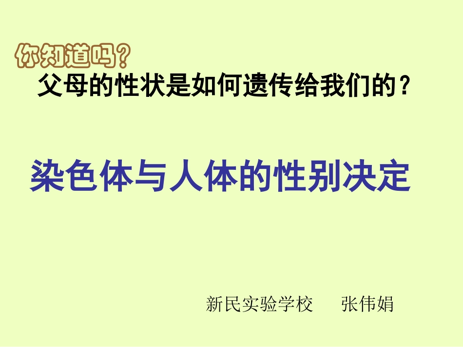 染色体与人体的性别决定_第2页
