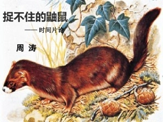 捉不住的鼬鼠──时间片论