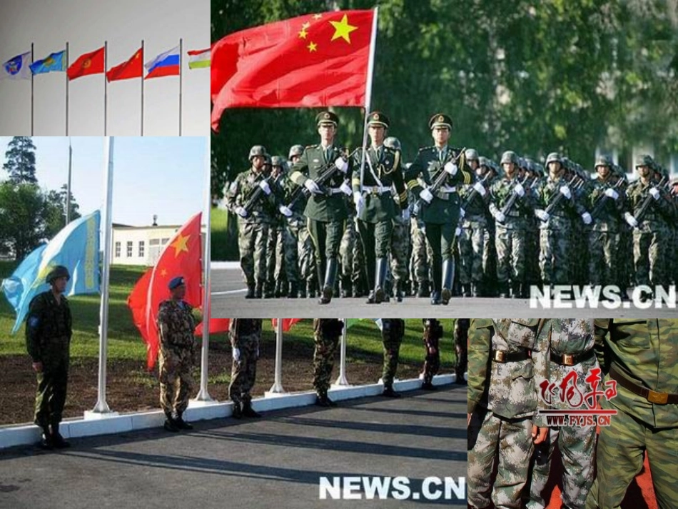 三新时期的外交政策与成就_第2页