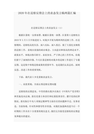 2020年在巡察反馈会上的表态发言稿两篇汇编 